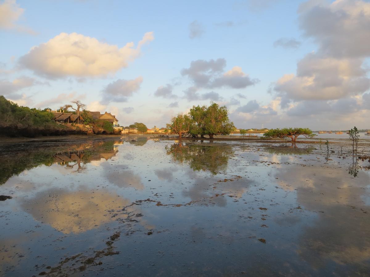 Wasini Island Bandas Exteriör bild