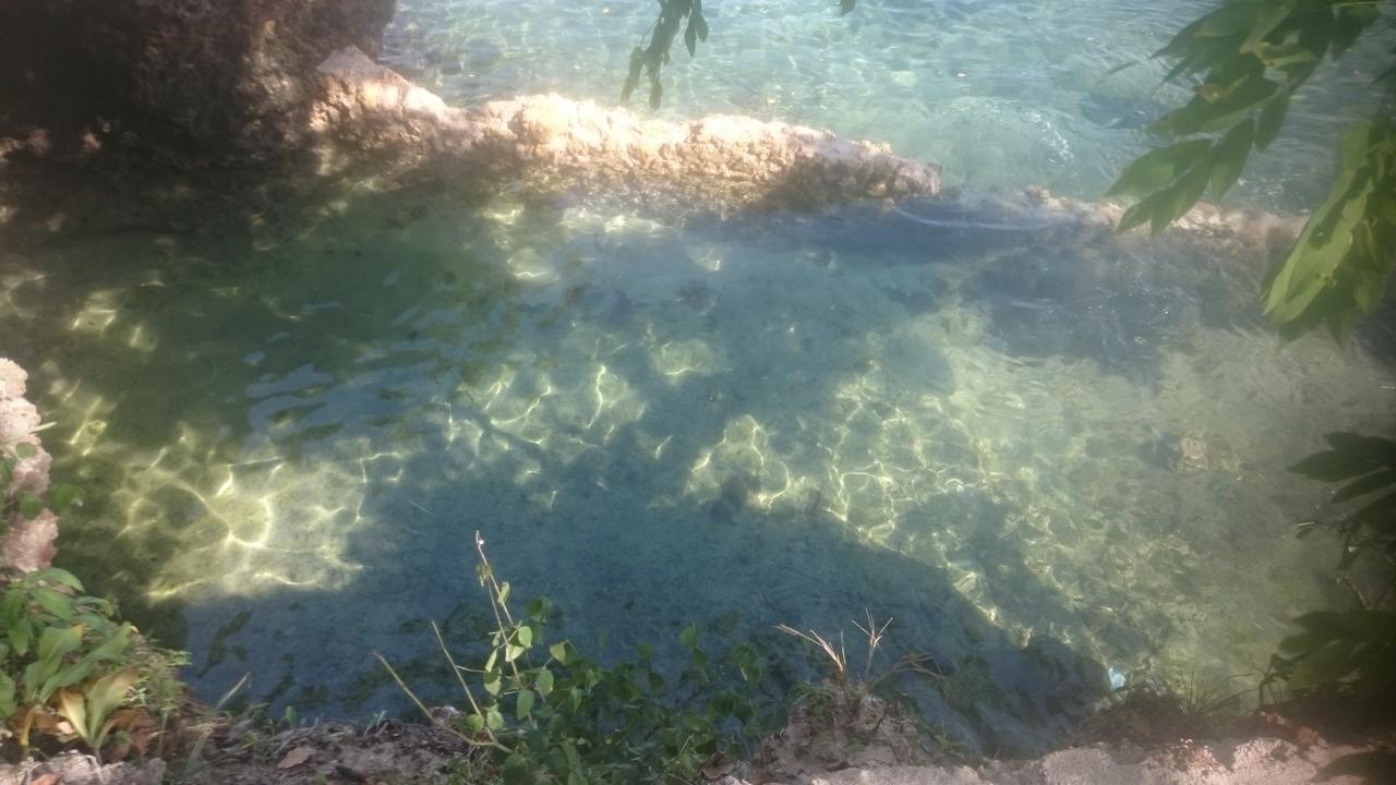 Wasini Island Bandas Exteriör bild